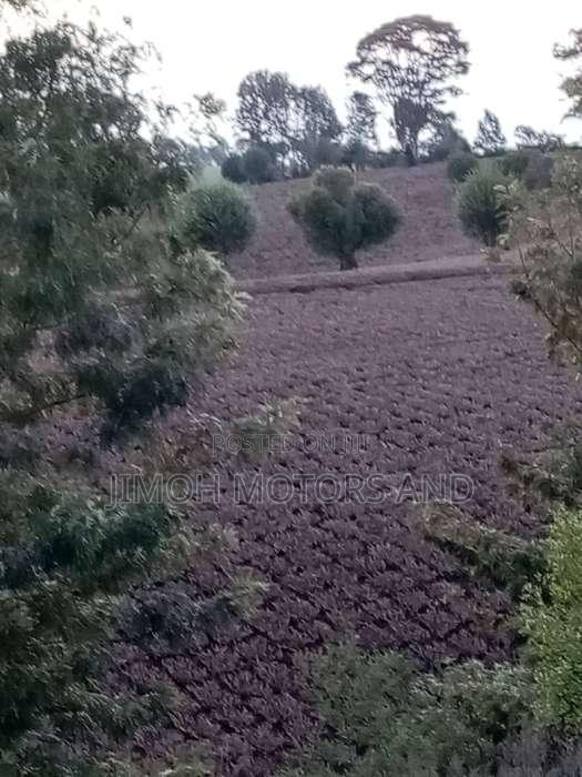 TWO ACRES OF LAND FOR SALE