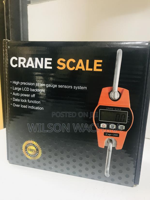 Crane Scale 300KG. - main view