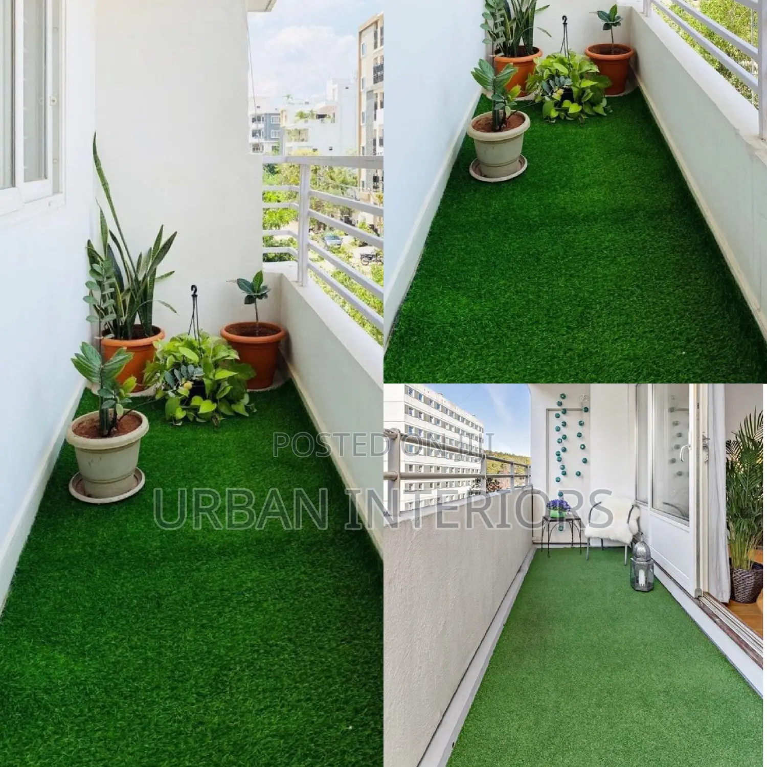 Grass Carpet Grass Carpet Grass Carpet Grass Carpet