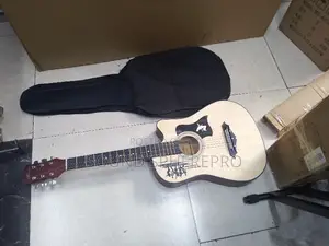 Accoustic Size 38plus Guitar Bag