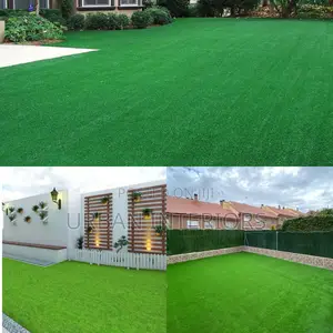 Grass Carpet Grass Carpet Grass Carpet Grass Carpet