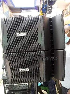 Professional Line Array Speakers