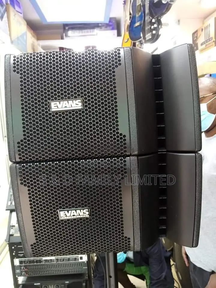Professional Line Array Speakers