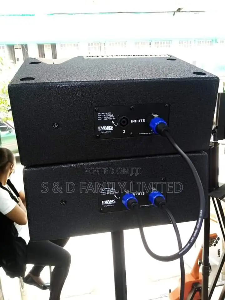 Professional Line Array Speakers