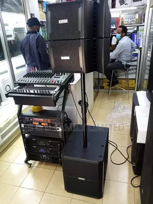 Professional Line Array Speakers