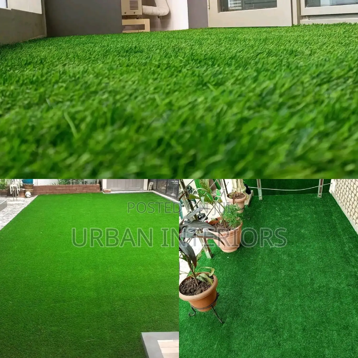 Grass Carpet Grass Carpet Grass Carpet Grass Carpet