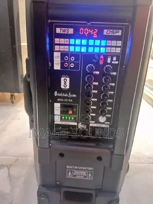 Powered Speaker 15inch With 2 Wireless Microphones ( Bns30)