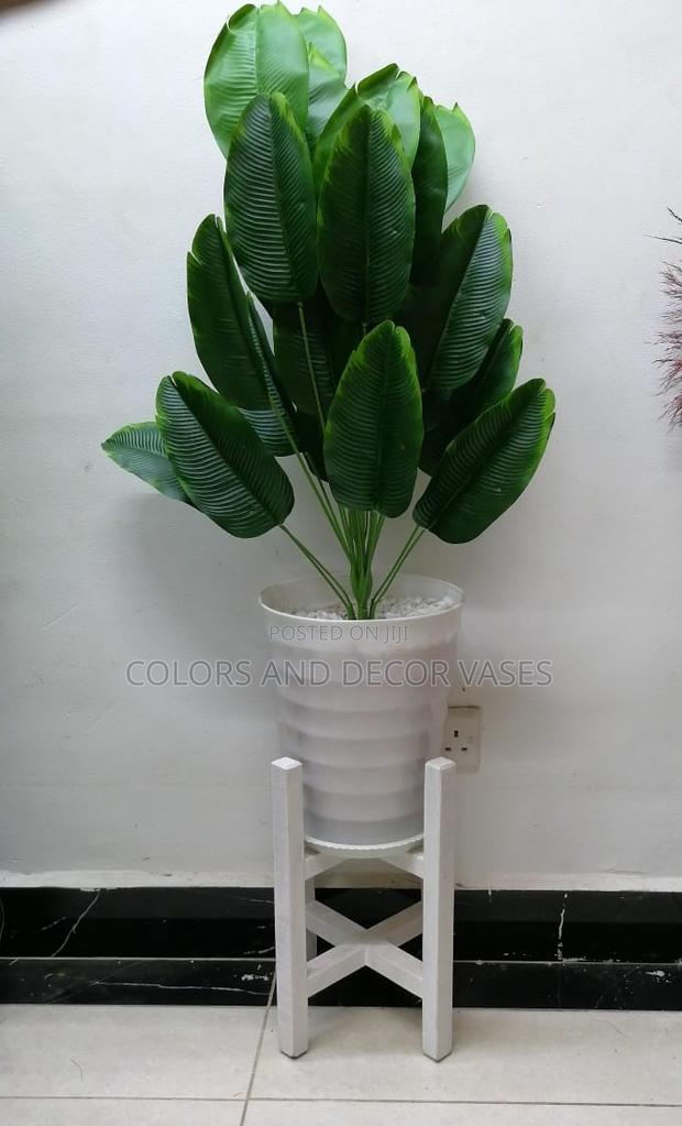 Plant,Vase and Stand