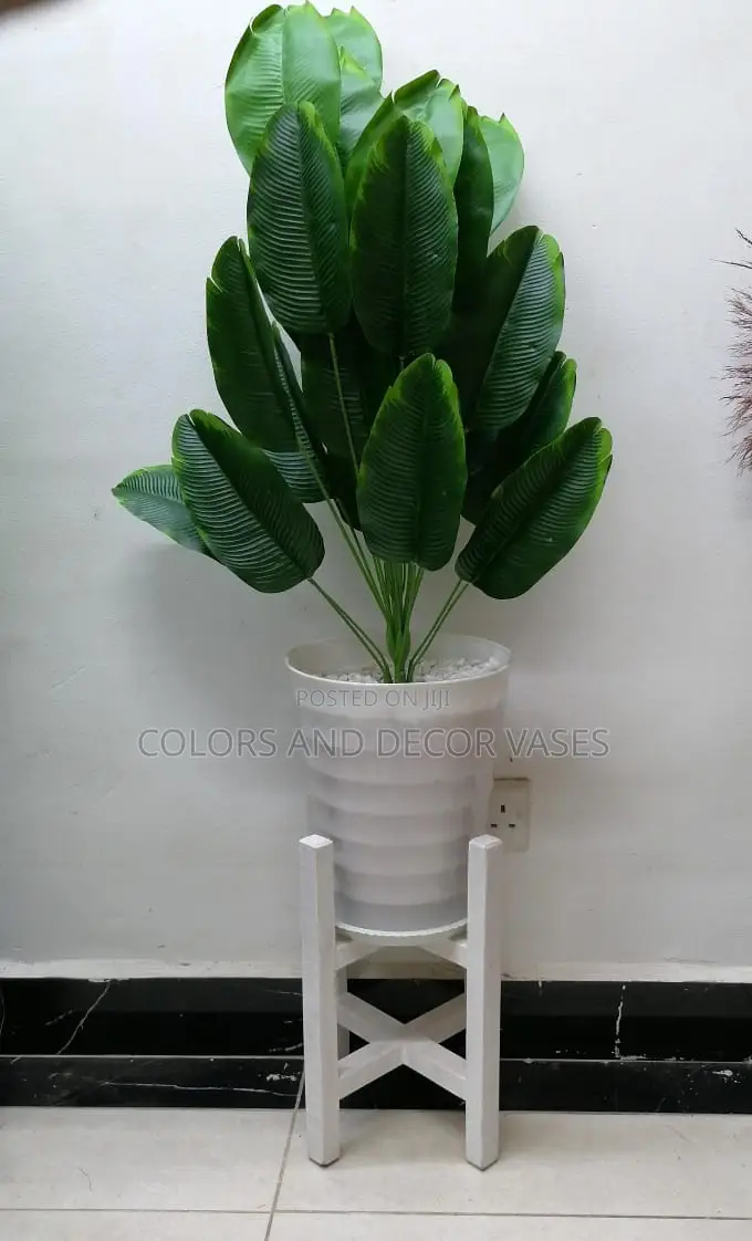Plant,Vase and Stand