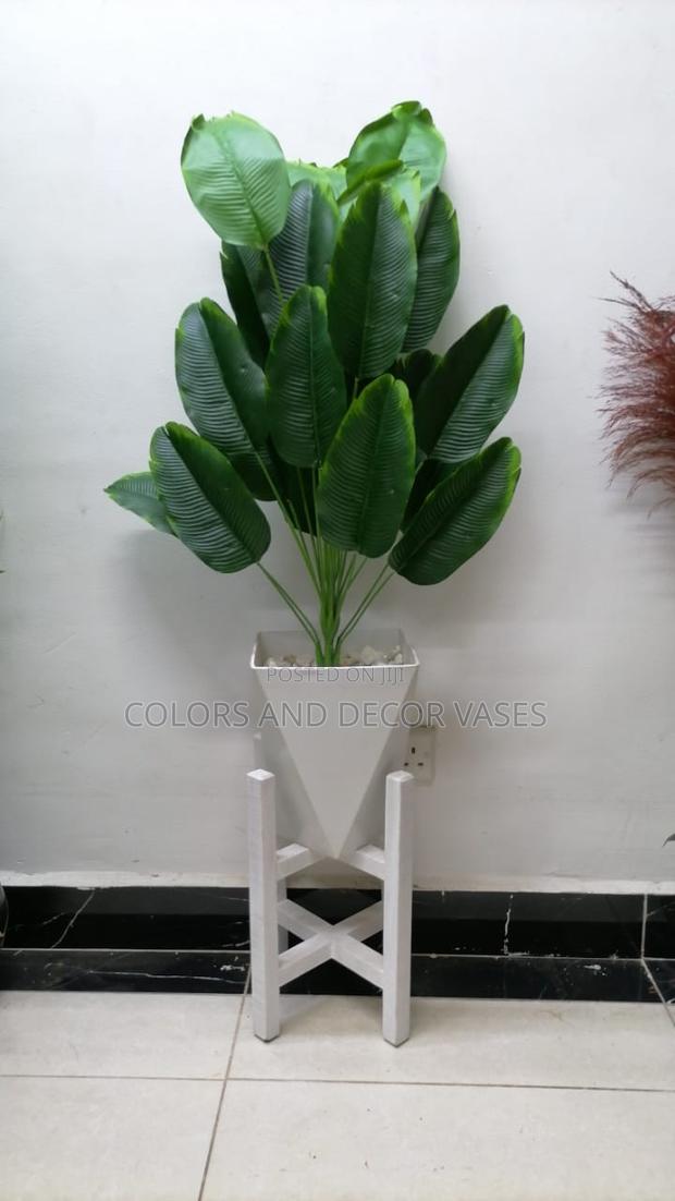Banana Plant, Plastic Vase and Pebble Stones Plus Stand