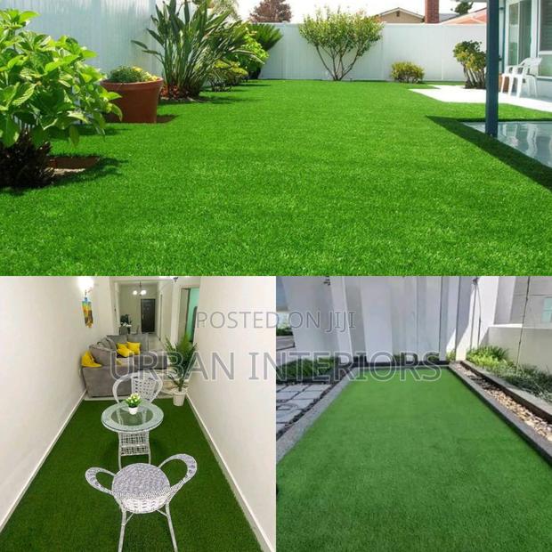 Grass Carpet Grass Carpet Grass Carpet Grass Carpet - main view