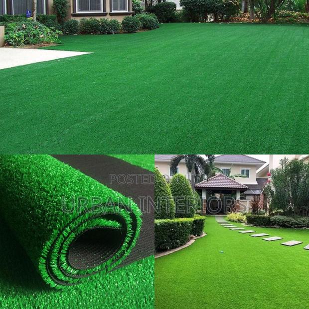 Grass Carpet Grass Carpet Grass Carpet Grass Carpet
