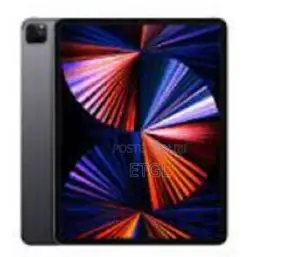 New Apple iPad Pro 12.9 (2015) 128 GB Gray