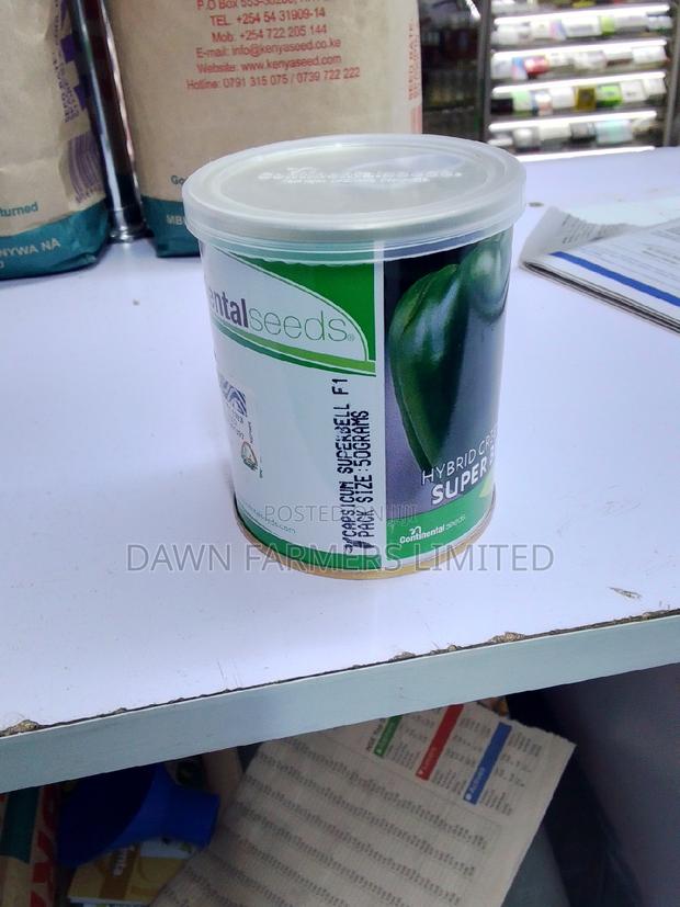Superbell F1 Hoho -50gms