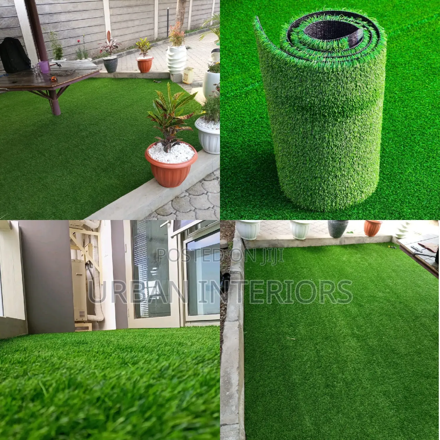 Grass Carpet Grass Carpet Grass Carpet Grass Carpet