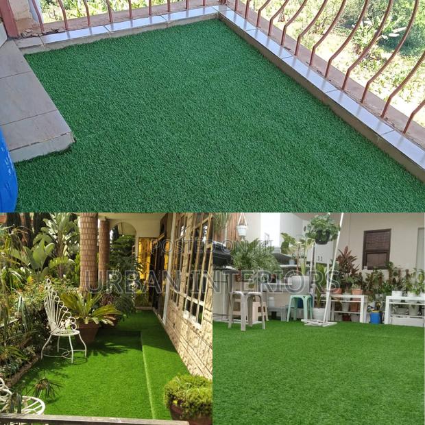 Grass Carpet Grass Carpet Grass Carpet Grass Carpet