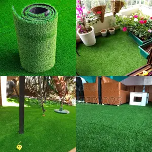 Grass Carpet Grass Carpet Grass Carpet Grass Carpet Grass