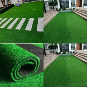 Grass Carpet Grass Carpet Grass Carpet Grass Carpet