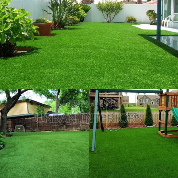 Grass Carpet Grass Carpet Grass Carpet Grass Carpet - main view