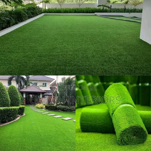 Turf Grass Turf Grass Turf Grass Turf Grass Turf Grass - main view