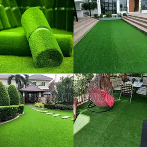 Grass Carpet Grass Carpet Grass Carpet Grass Carpet