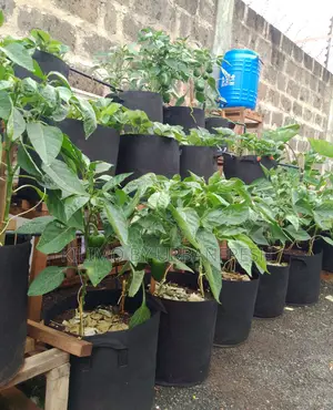 30 KGS Planting / Grower Bags