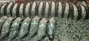 Side Mirror Cover and Signal Lexus 570