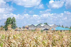 Prime Plot for Sale in Kikuyu, Kamangu - thumbnail 2
