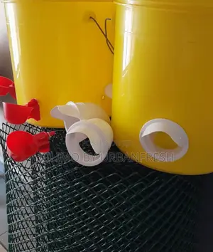 20 KGS Automatic Poultry Feeding Bucket 3 Slots