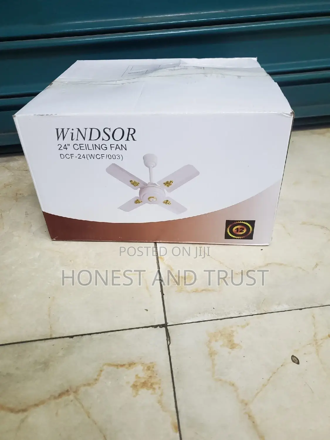 Windsor 24 Inches Ceiling Fan