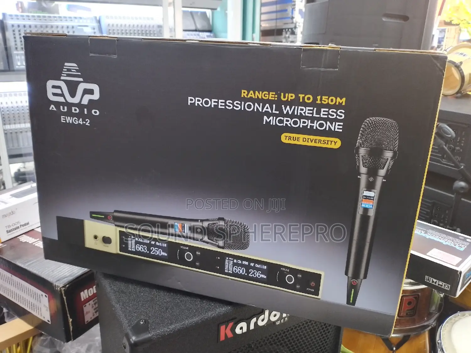 EVP Audio EWG4-2 2 In1 Wireless Microphone