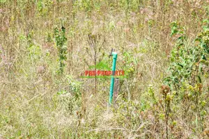 Prime Plot for Sale in Kikuyu, Kamangu (Gated Community)