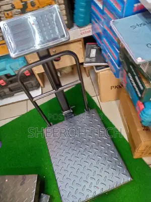 300kg Weighing Scale Durable