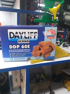 Dayliff Booster Pump for Domestic and Industrial Use