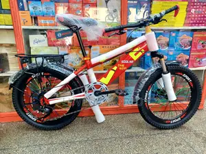 Mountain Bike