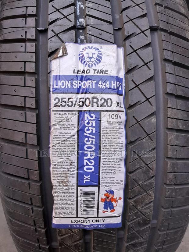 255/50r20 Lionsport
