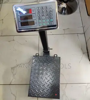 300kg Weighing Scale Platform