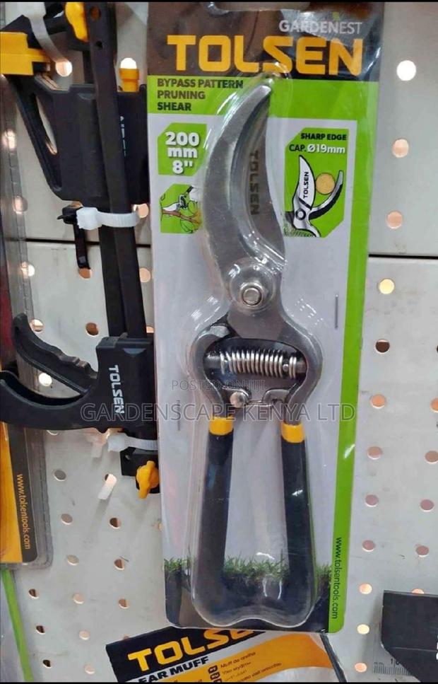 Saccatures for Pruning Plants