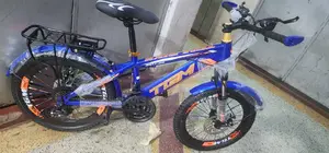 Size 20 Bicycle With 21 Gears