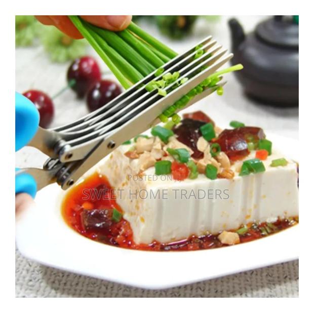 Multifunctional 5 Layer Herb Scissors, - main view