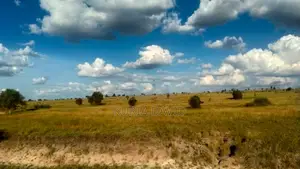 15 Acres for Sale Isinya