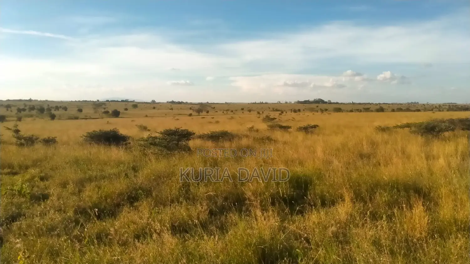 15 Acres for Sale Isinya