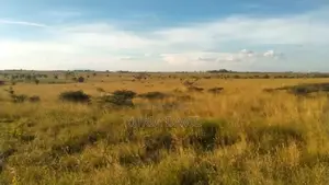 15 Acres for Sale Isinya