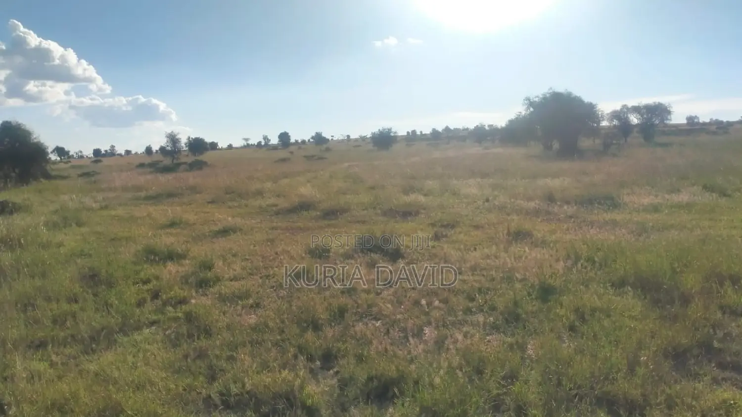 15 Acres for Sale Isinya