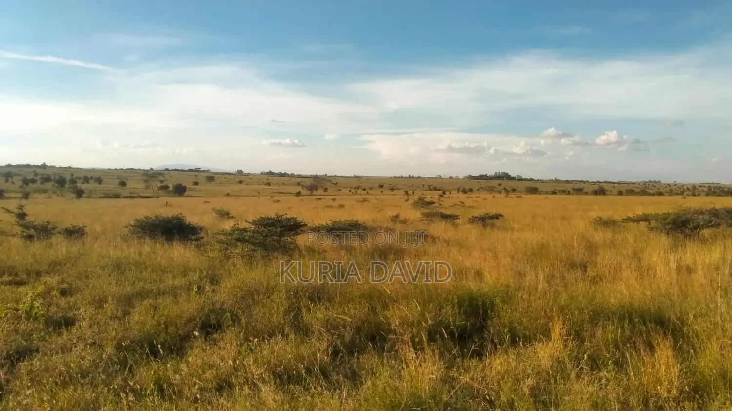 15 Acres for Sale Isinya