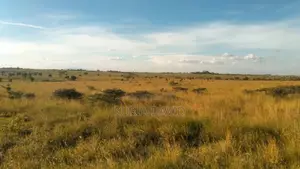 15 Acres for Sale Isinya