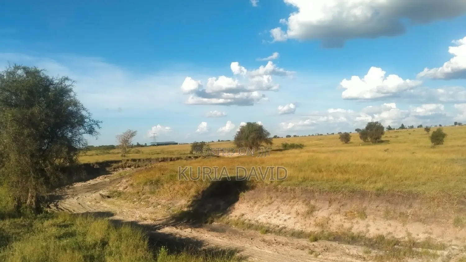 15 Acres for Sale Isinya