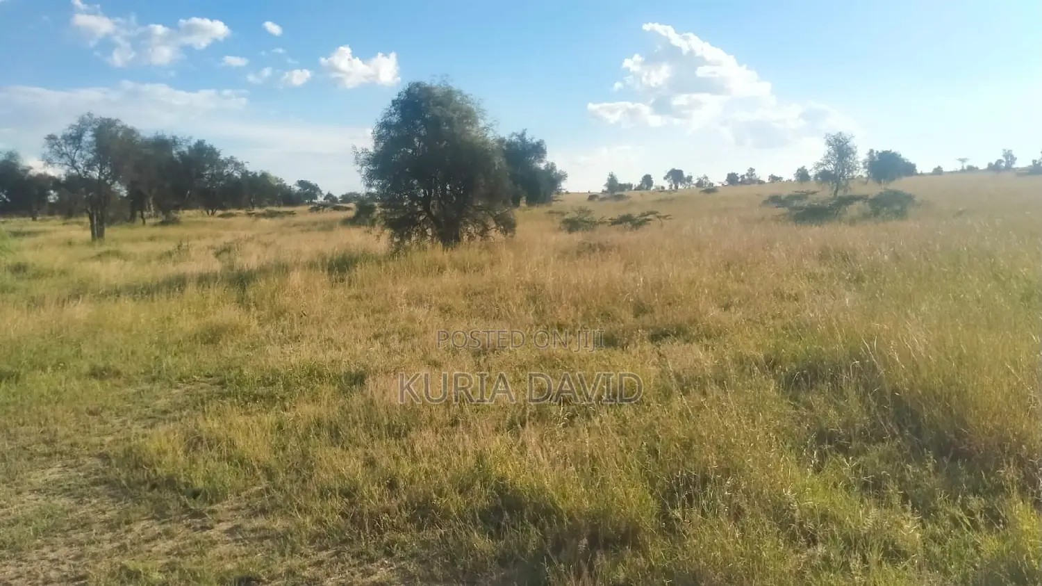 15 Acres for Sale Isinya