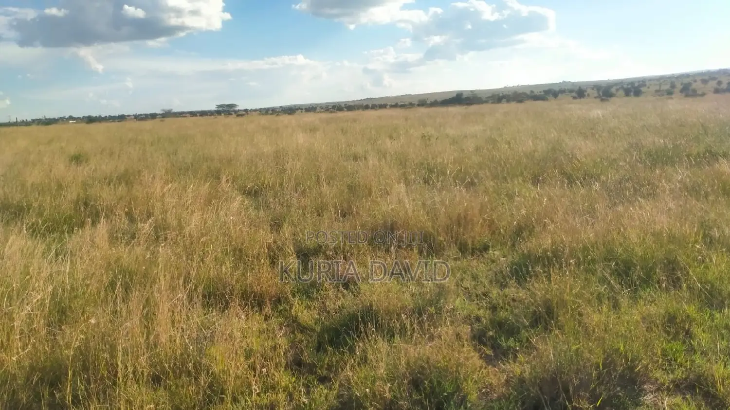 15 Acres for Sale Isinya