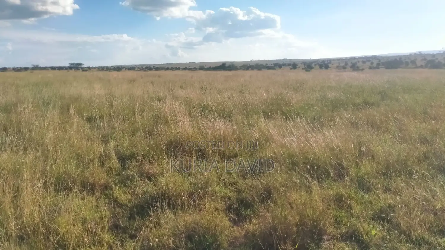15 Acres for Sale Isinya